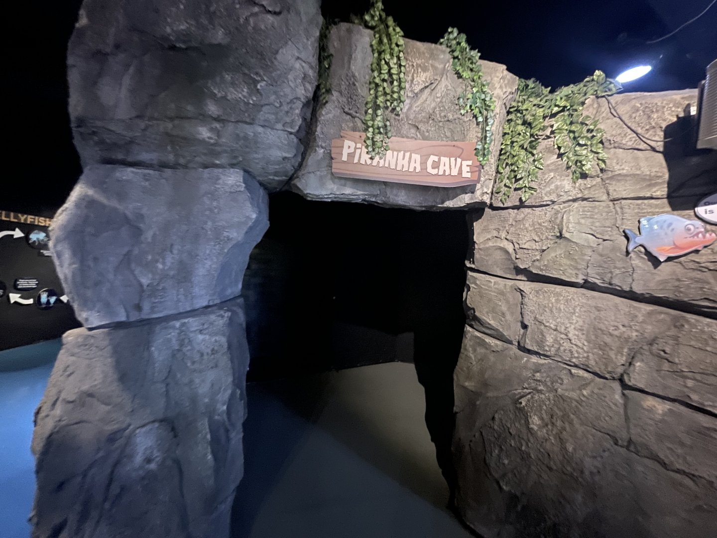 piranha cave