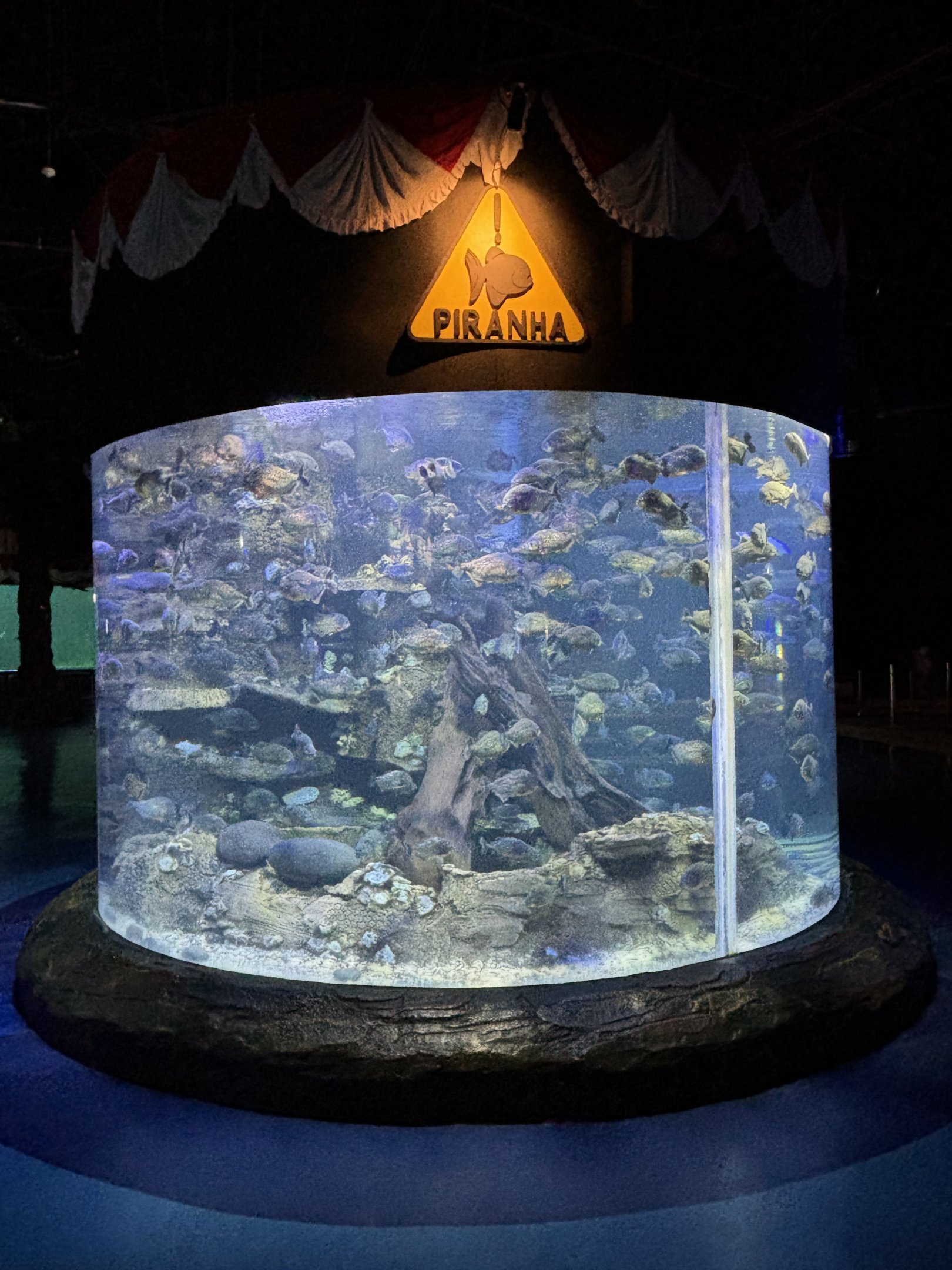 Piranha Exhibit