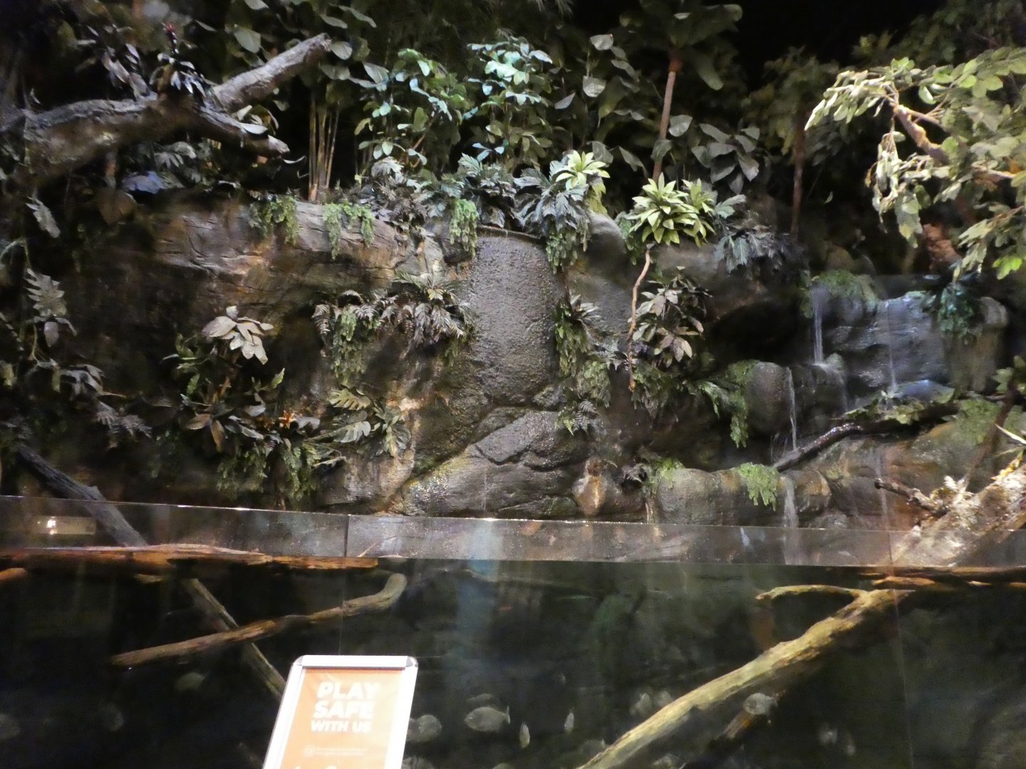 Piranha Falls - Main Tank