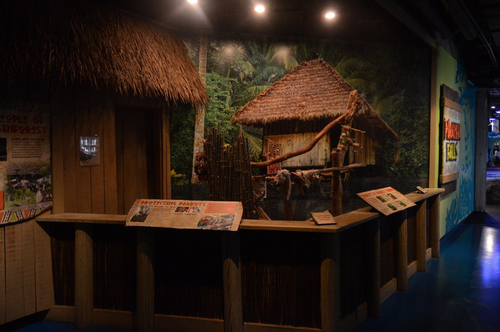 Piranha Falls - Parrot Exhibit