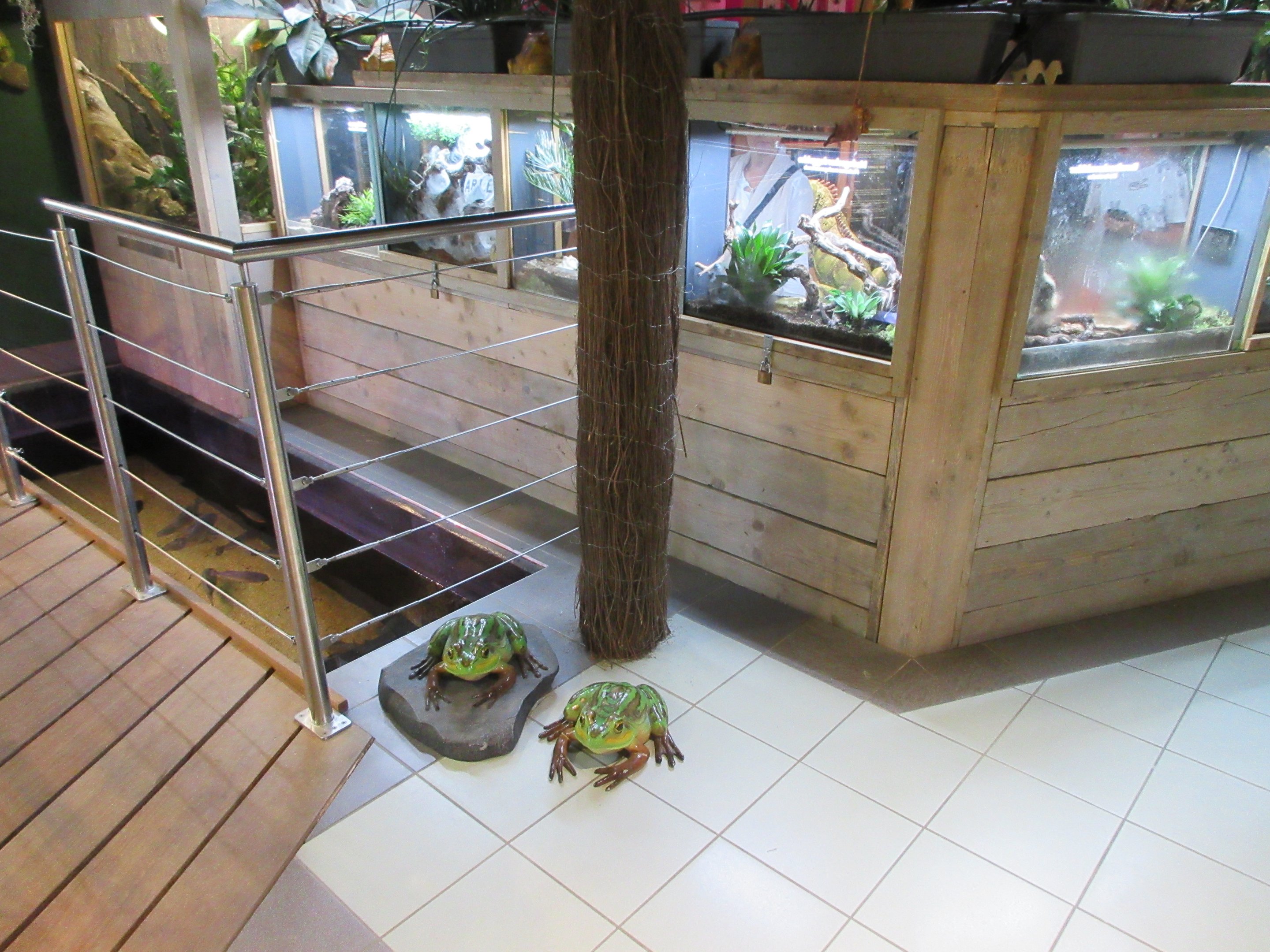 Piranha tank on floor (open-topped)