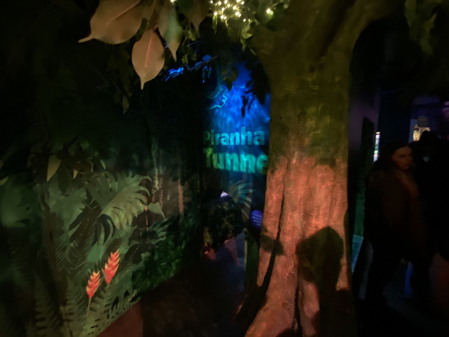 Piranha Tunnel 070123