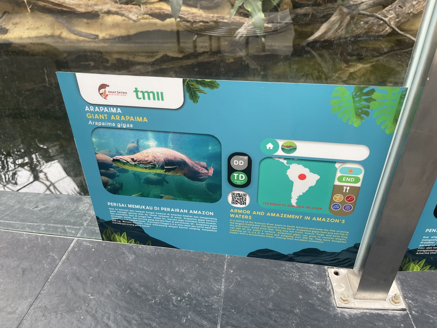 pirarucu signage - dunia air tawar