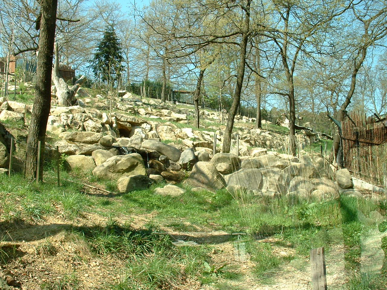 Pistoia Zoo - March 2012