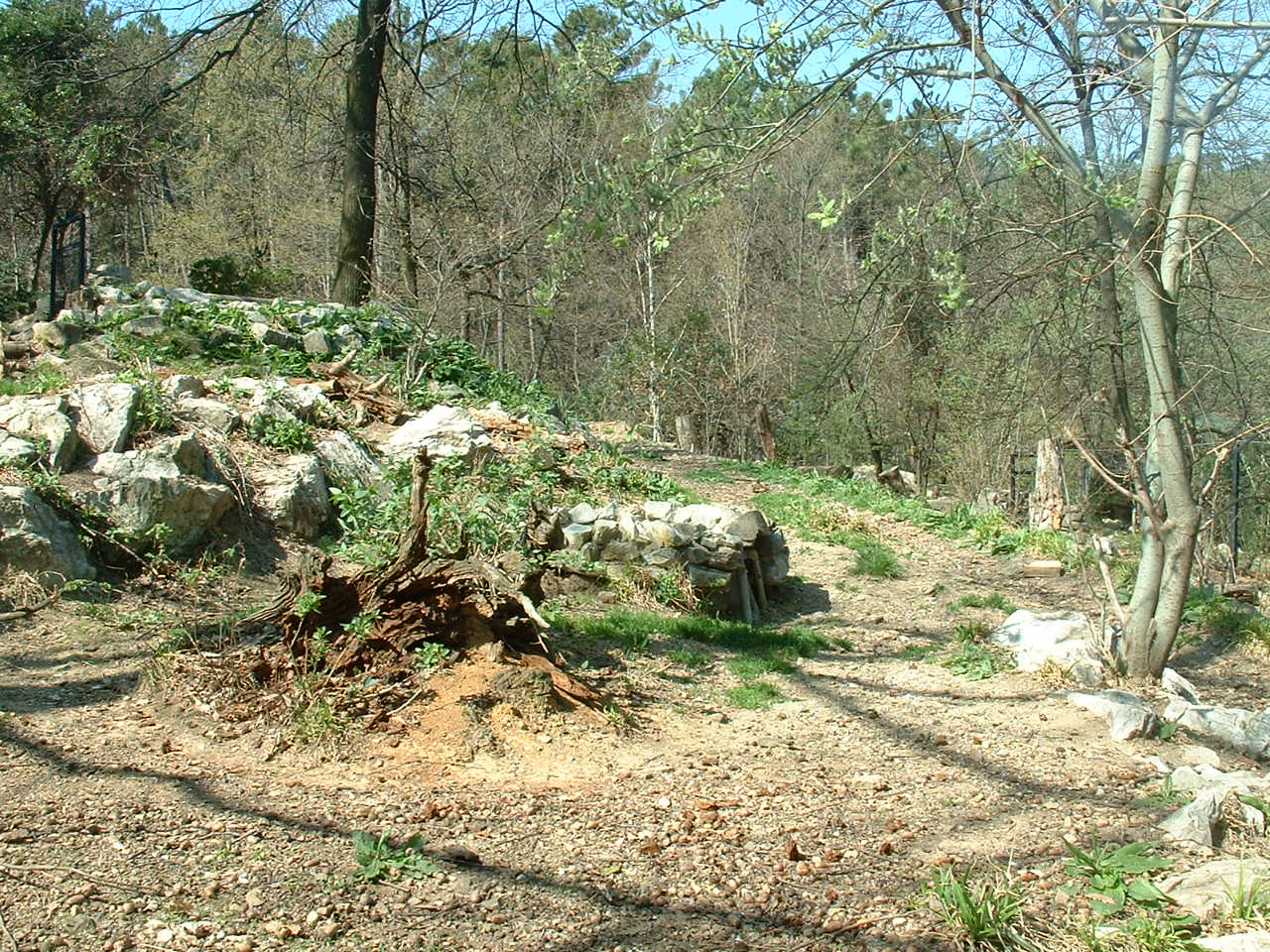 Pistoia Zoo - March 2012