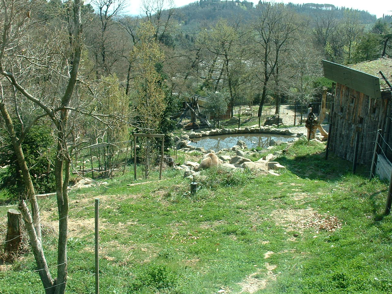 Pistoia Zoo - March 2012