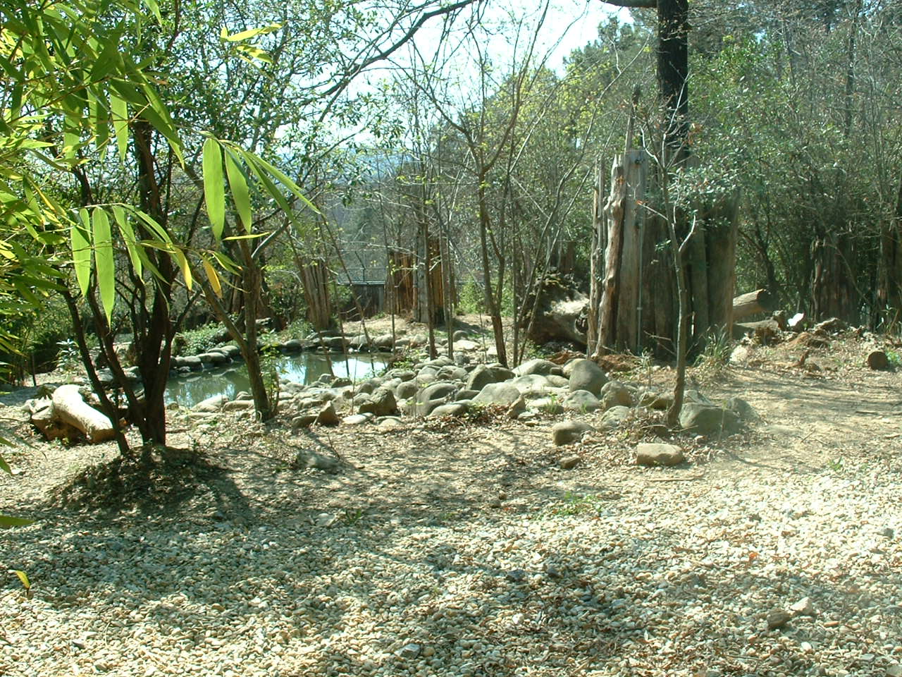 Pistoia Zoo - March 2012