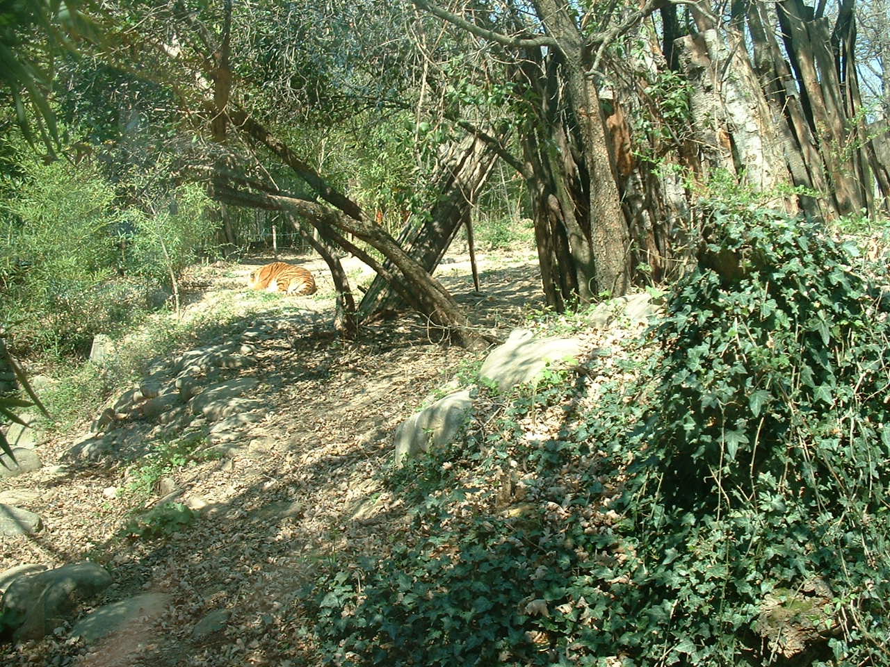 Pistoia Zoo - March 2012