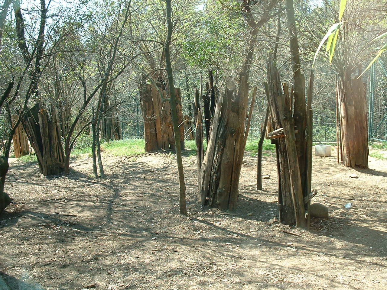 Pistoia Zoo - March 2012