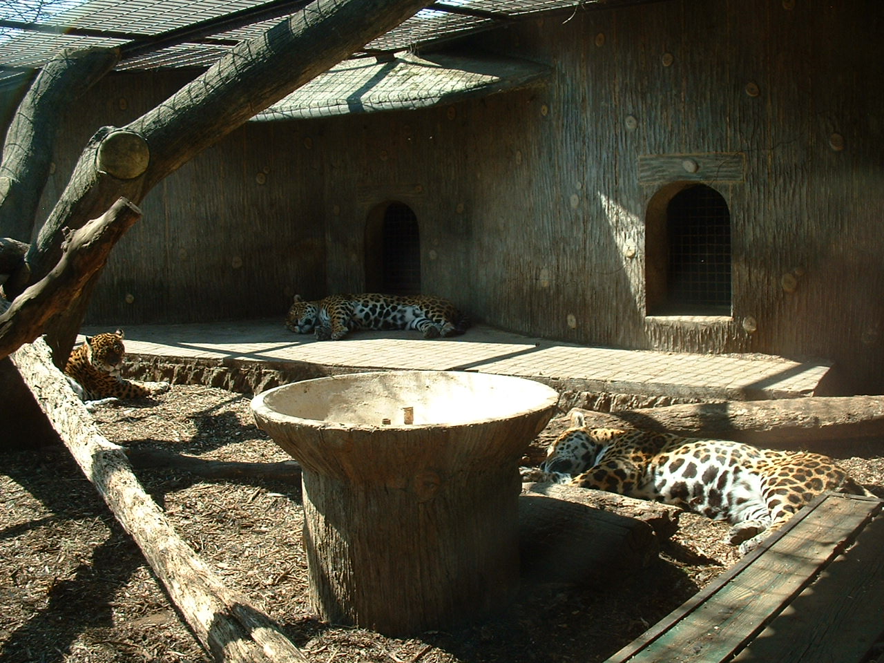 Pistoia Zoo - March 2012