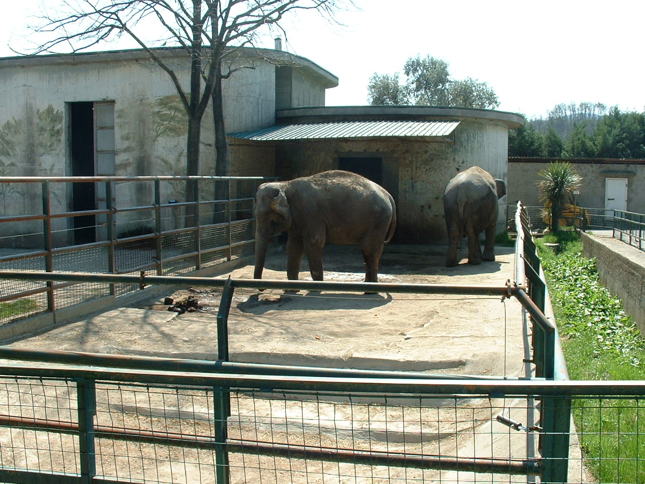 Pistoia Zoo - March 2012