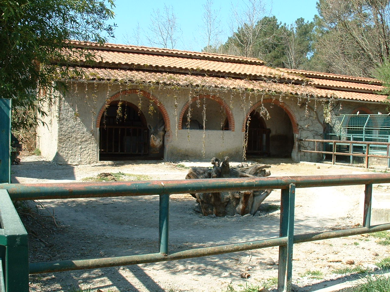 Pistoia Zoo - March 2012