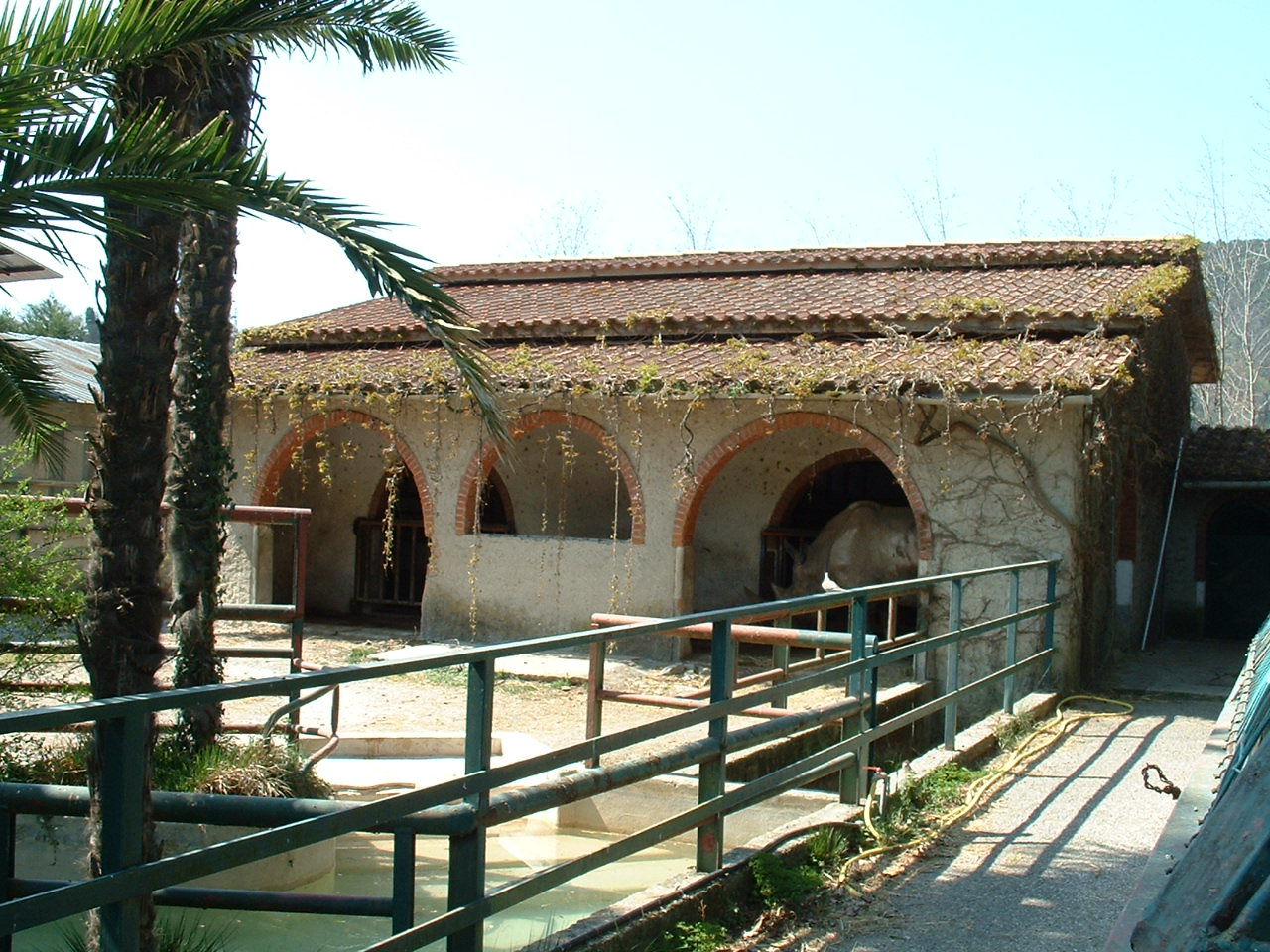 Pistoia Zoo - March 2012
