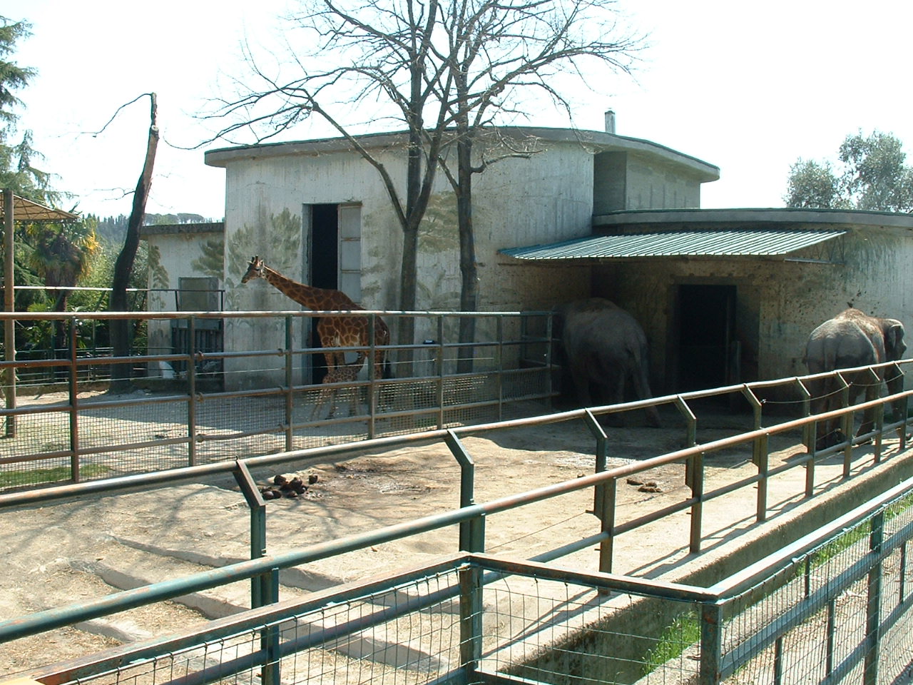Pistoia Zoo - March 2012