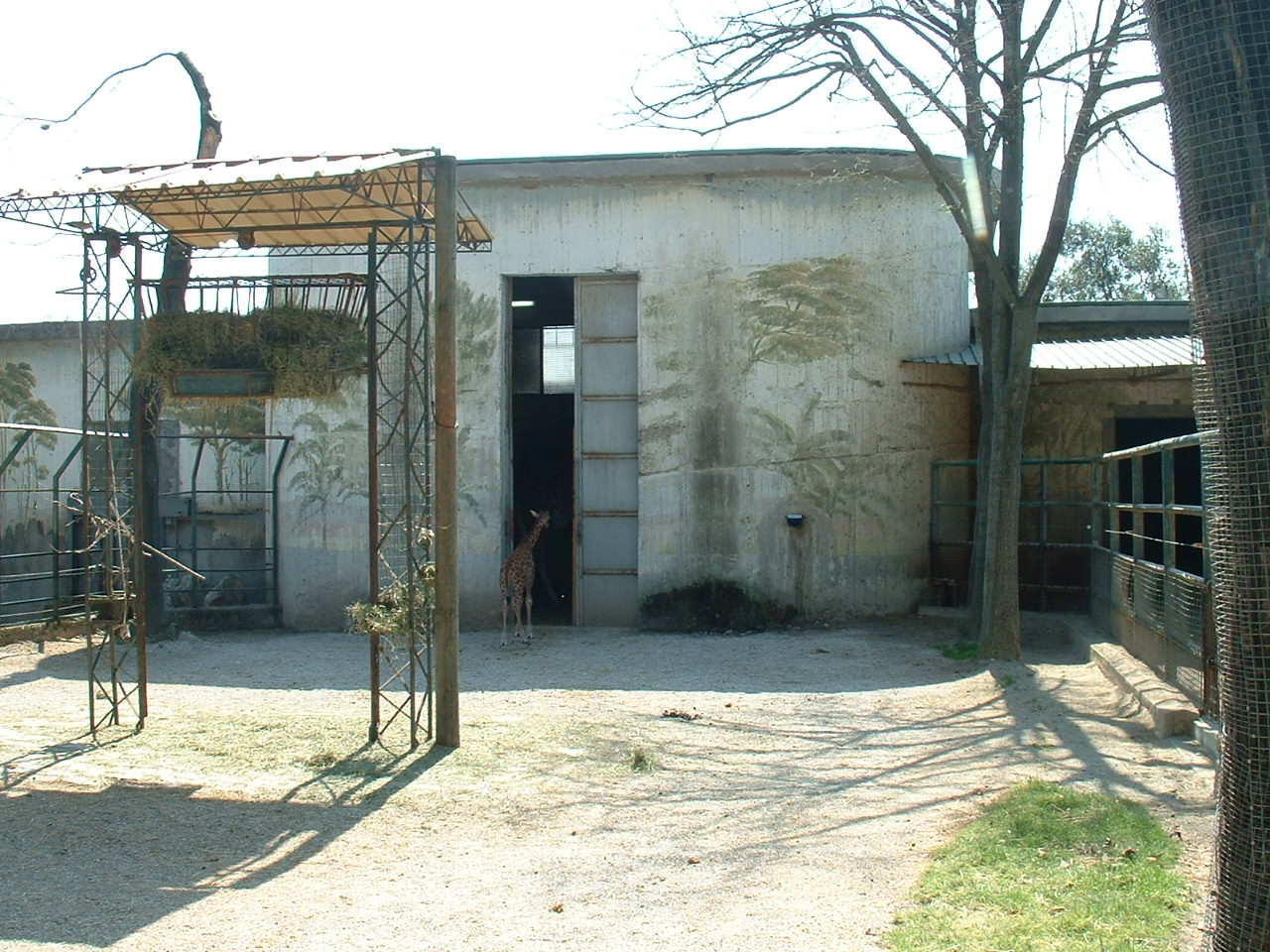 Pistoia Zoo - March 2012