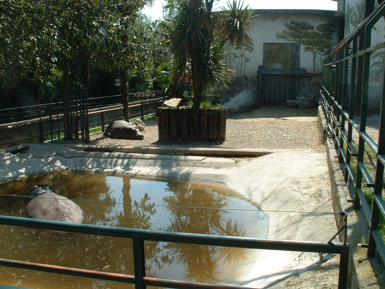 Pistoia Zoo - March 2012