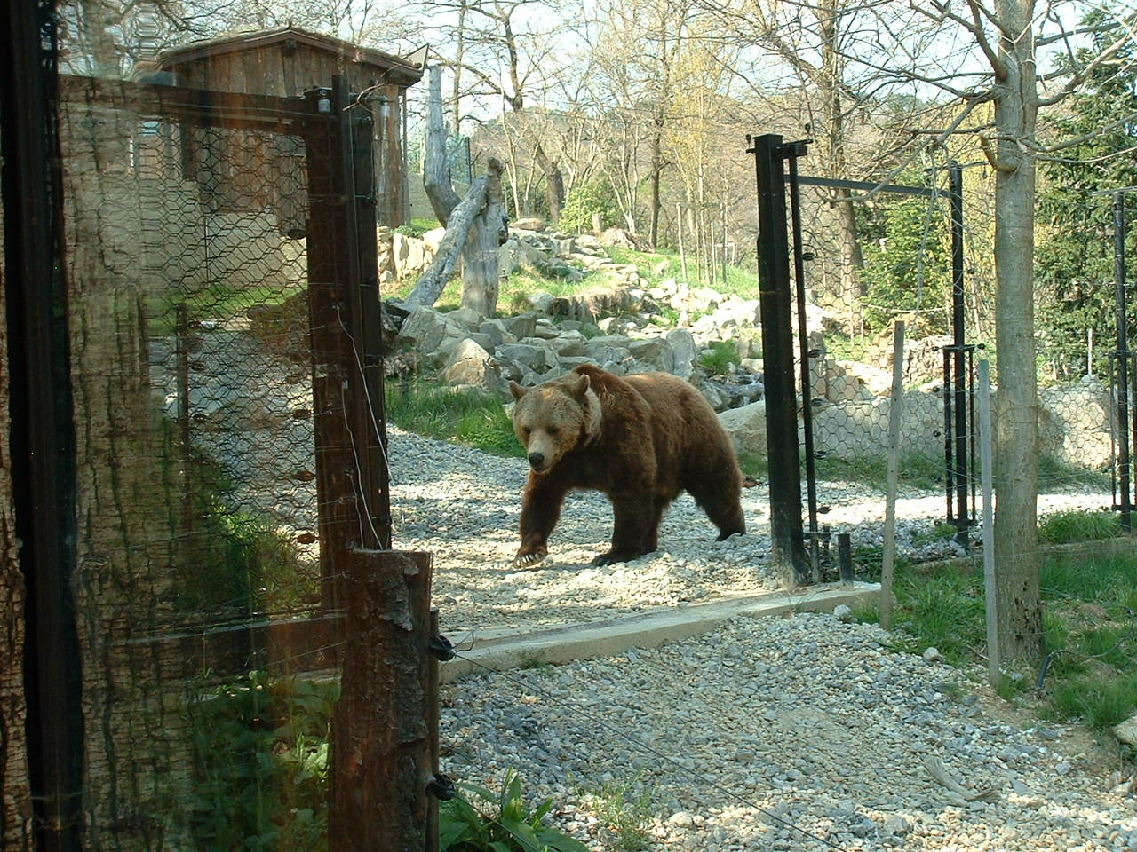 Pistoia Zoo - March 2012