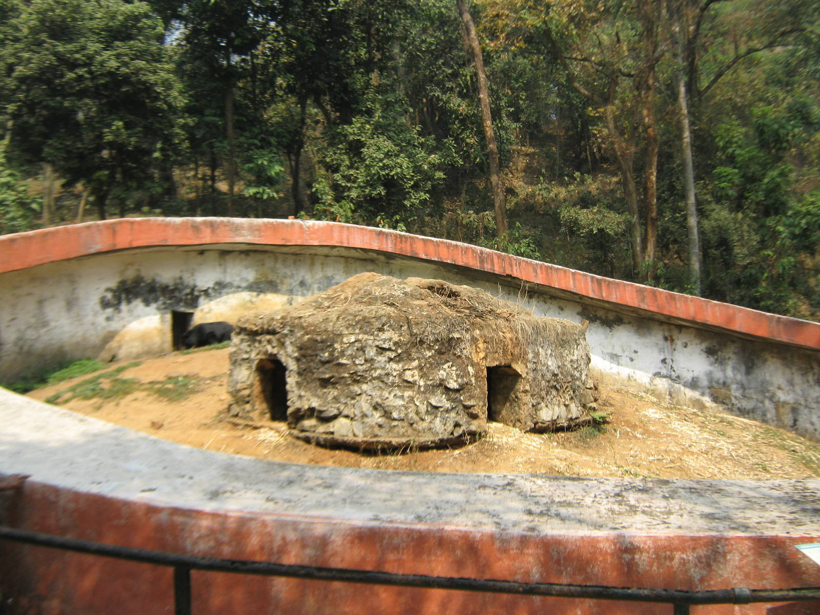 pit-style enclosure for Asiatic black bears