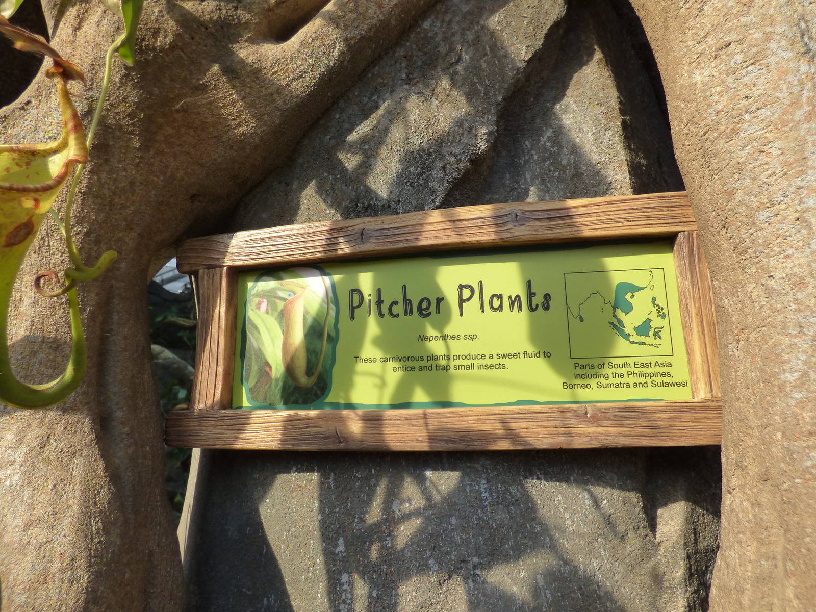 Pitcher Plant Signage