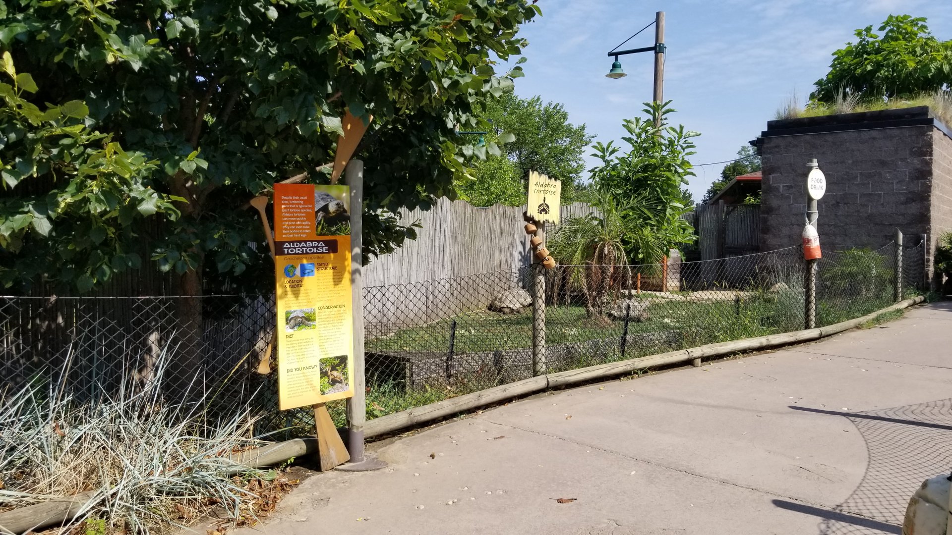 Pittsburgh 8/21 - Aldabra tortoise