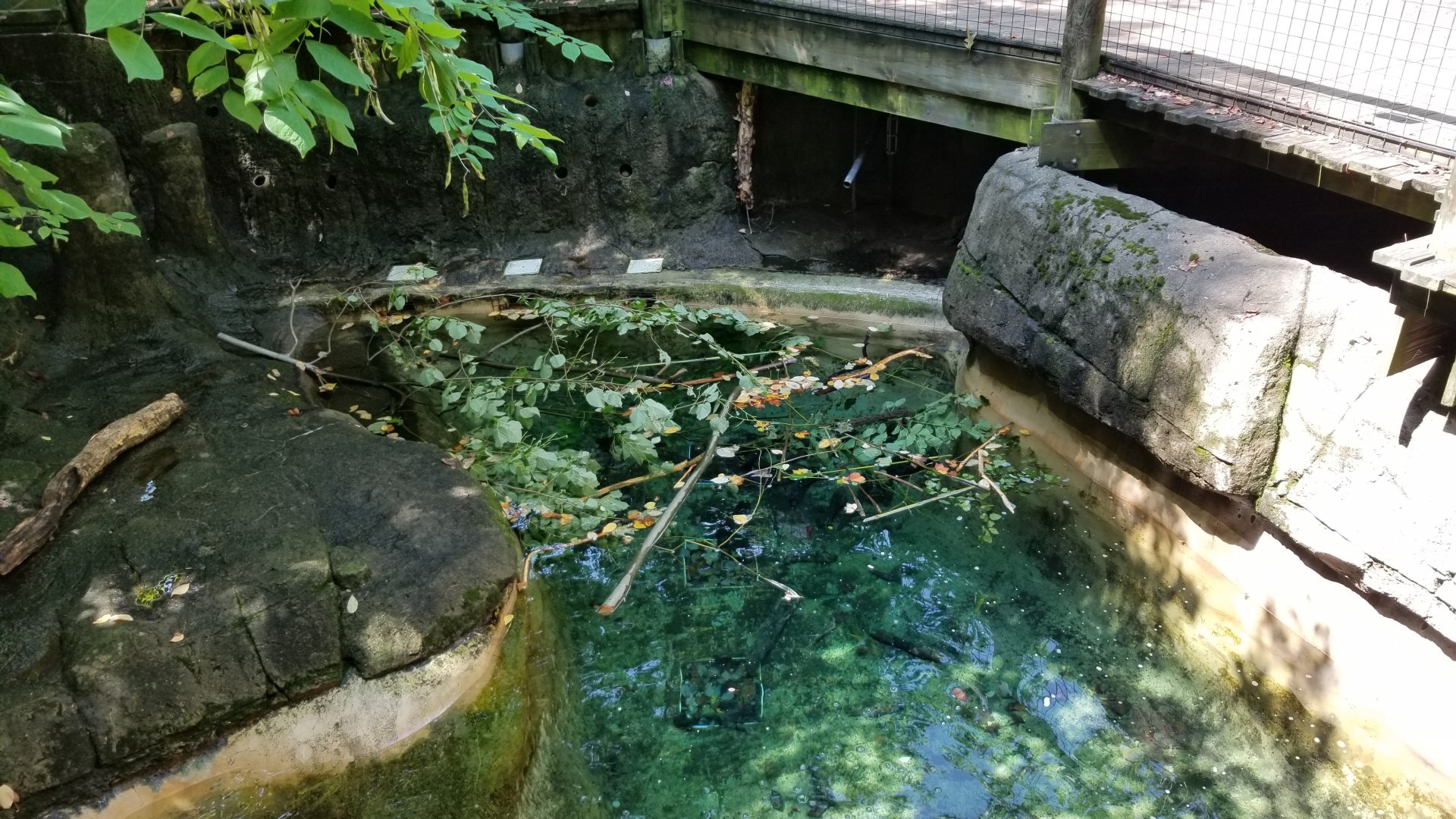 Pittsburgh 8/21 - Beavers