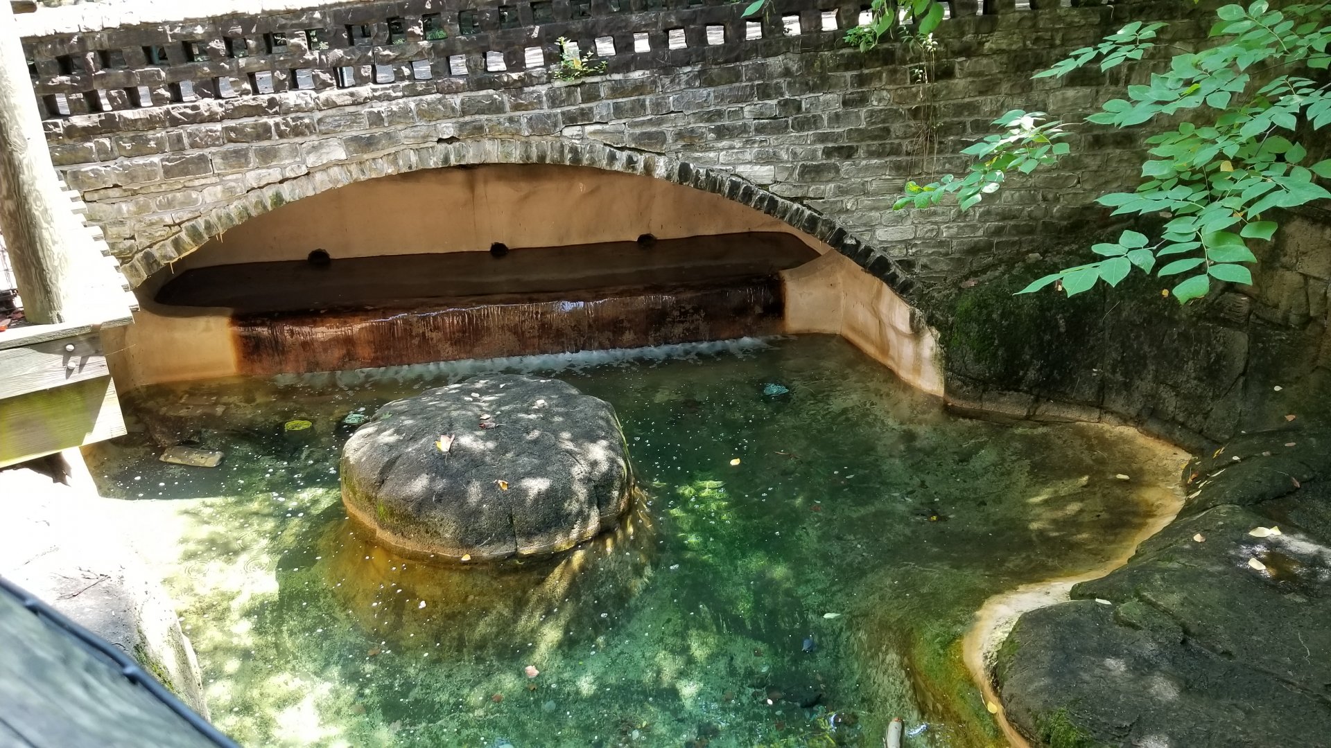 Pittsburgh 8/21 - Beavers