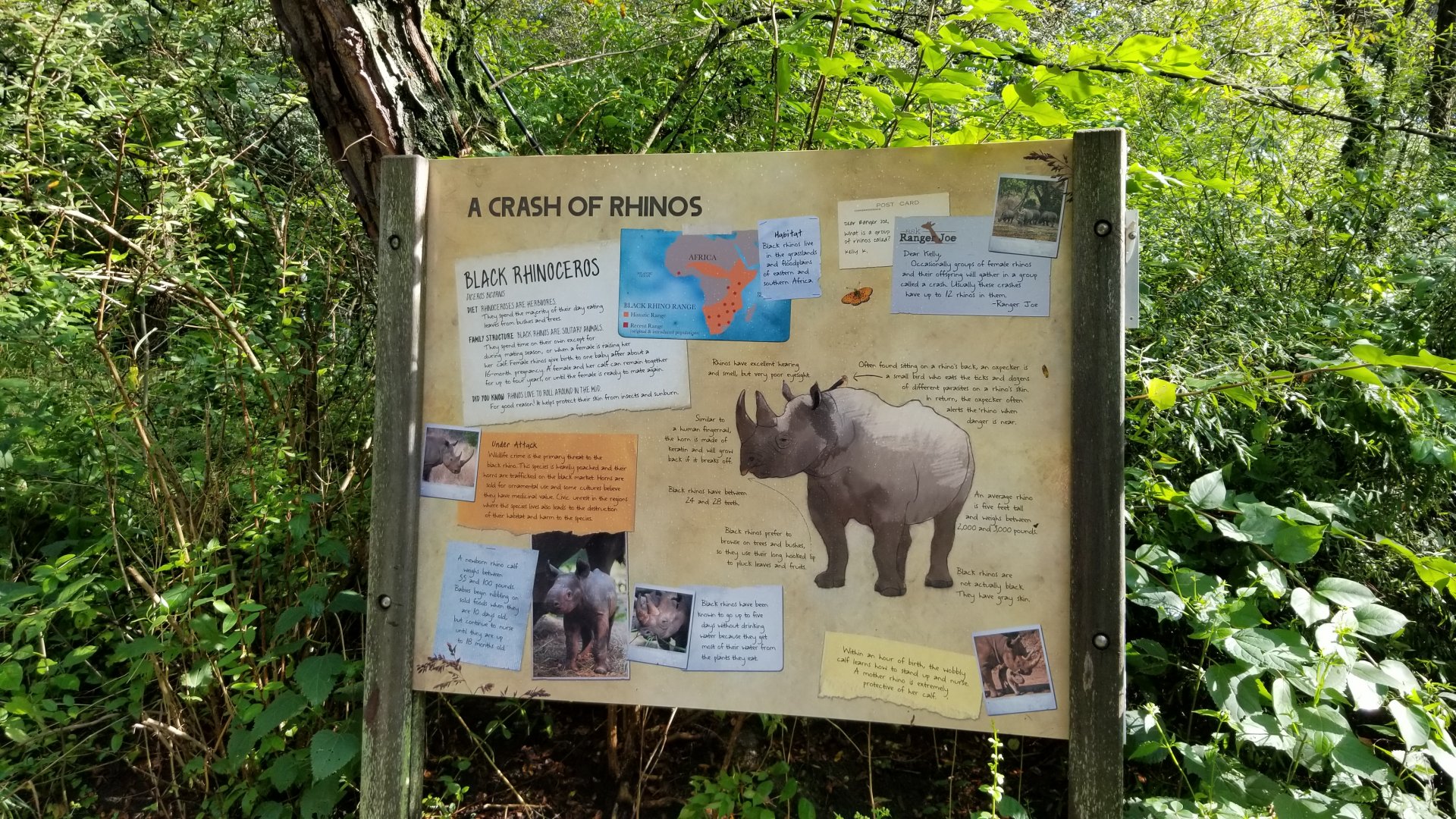 Pittsburgh 8/21 - Black rhino sign