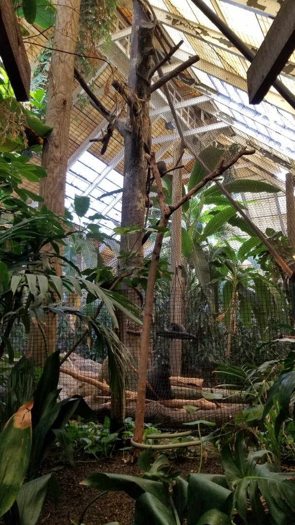 Pittsburgh 8/21 - Blue monkeys