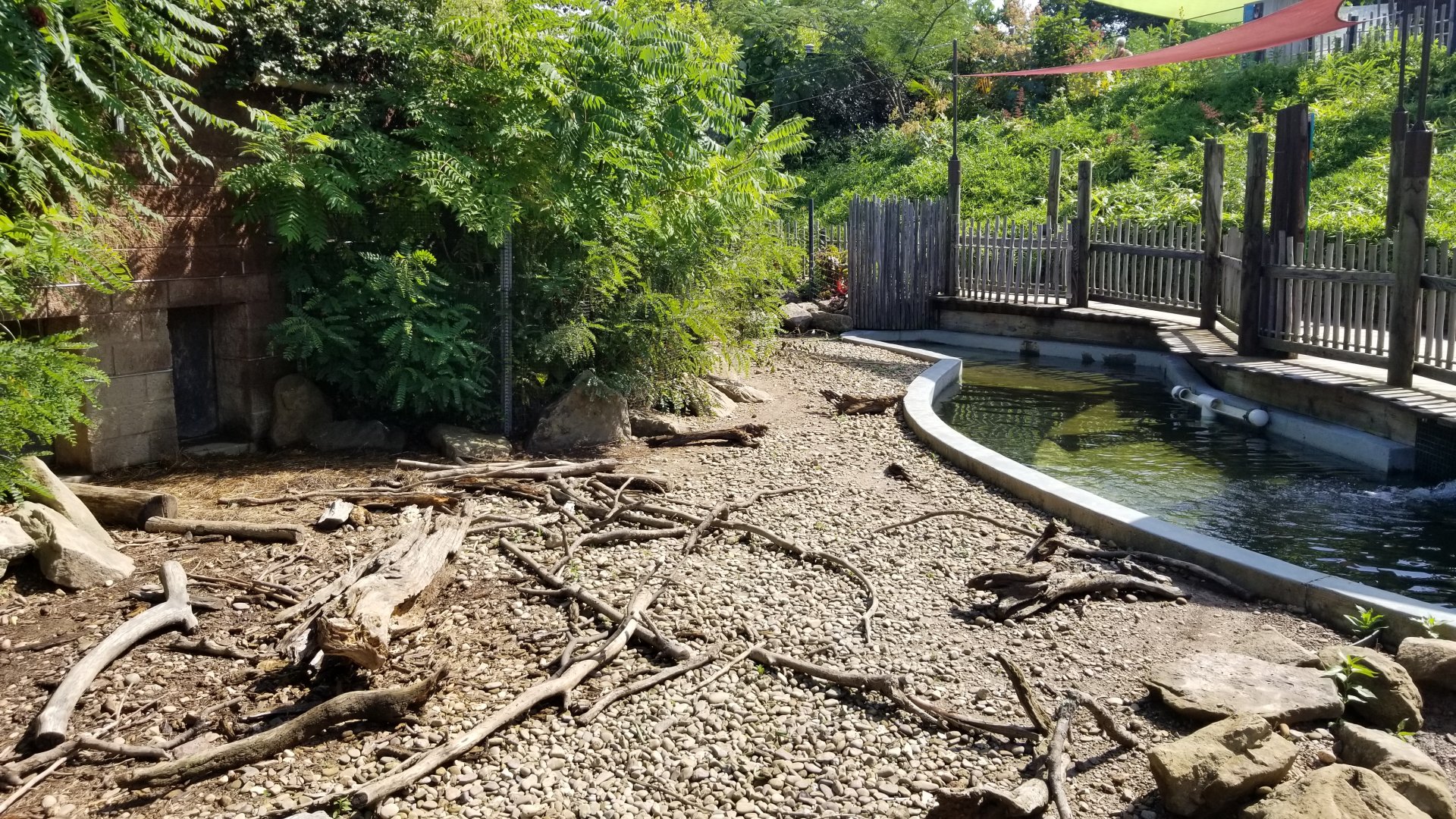 Pittsburgh 8/21 - Capybara and giant anteater