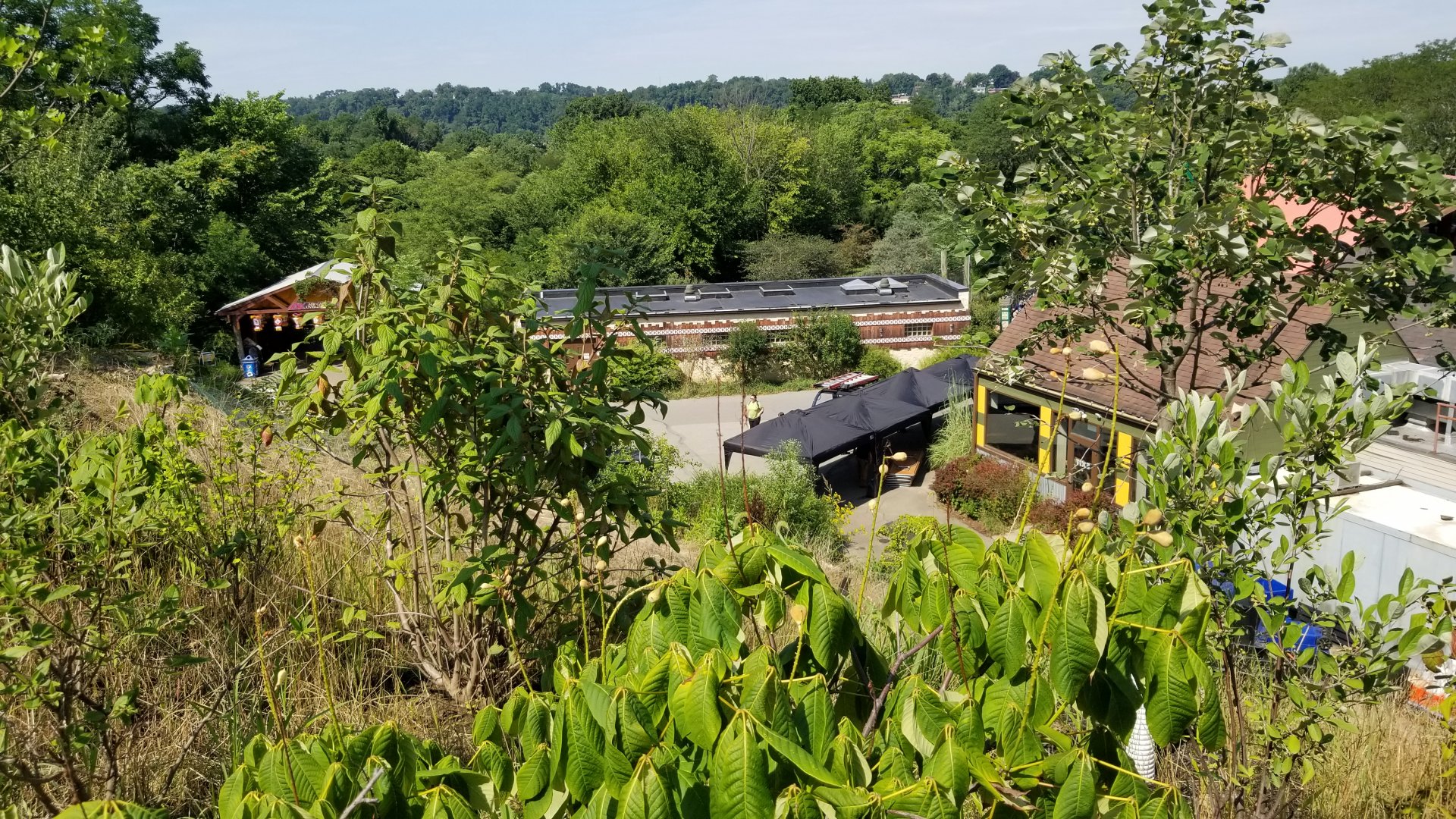 Pittsburgh 8/21 - Cheetah building from above