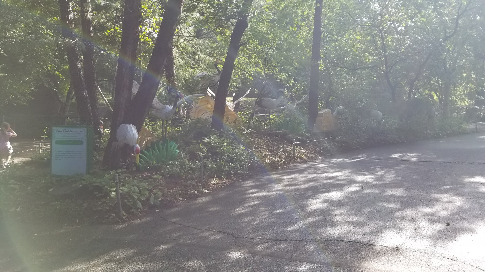 Pittsburgh 8/21 - Cranes