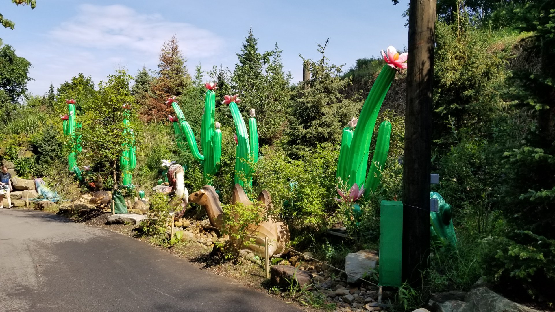 Pittsburgh 8/21 - Desert lanterns