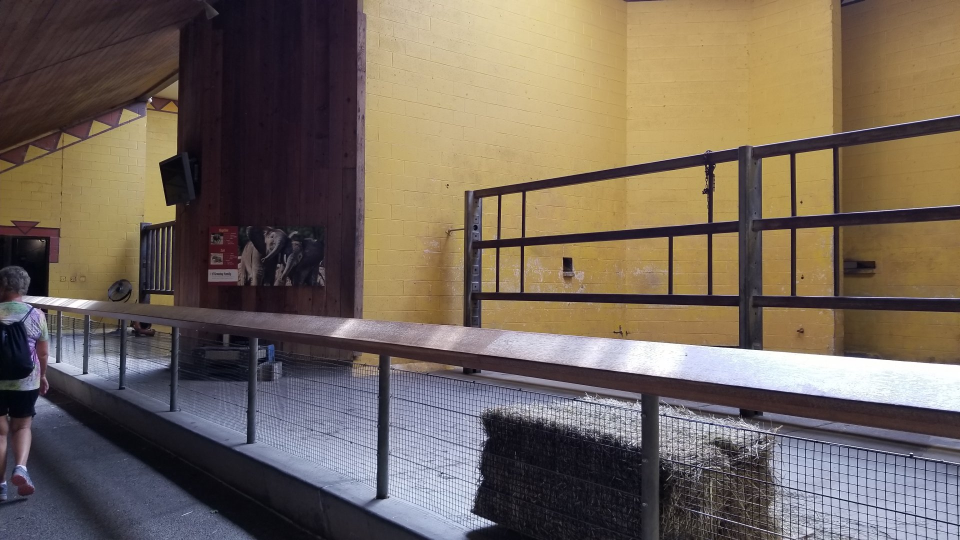 Pittsburgh 8/21 - Elephant indoors