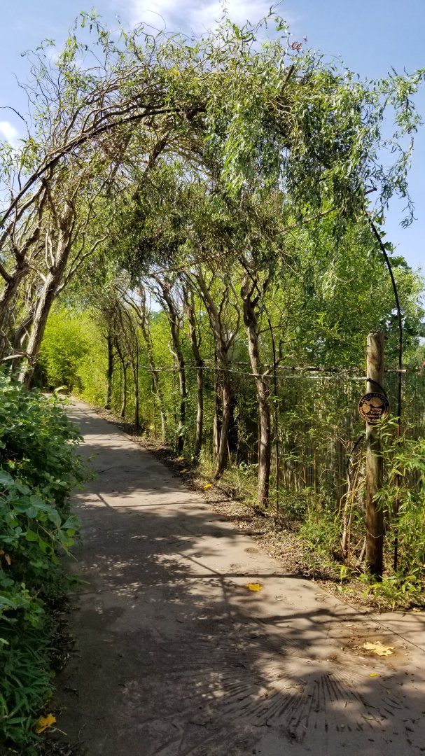 Pittsburgh 8/21 - Entrance to jungle odyssey