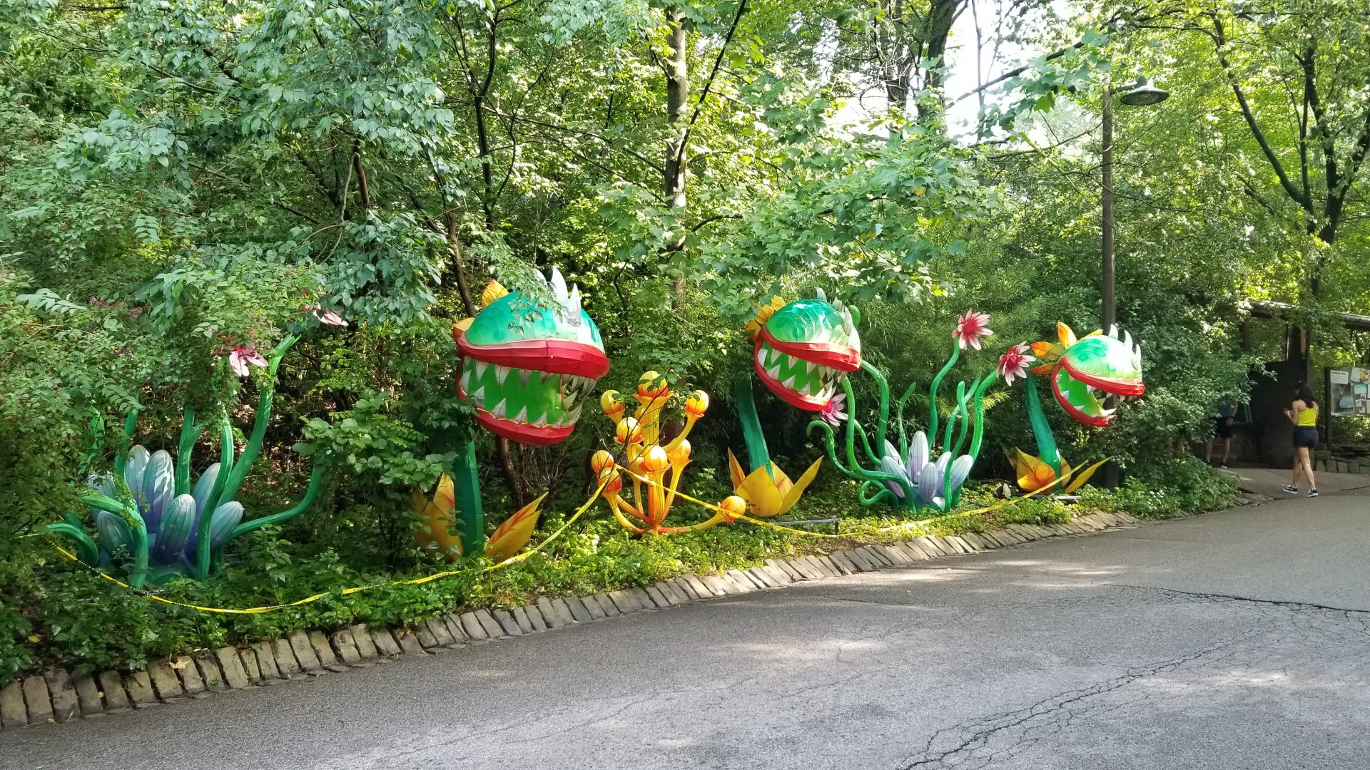 Pittsburgh 8/21 - Flytraps