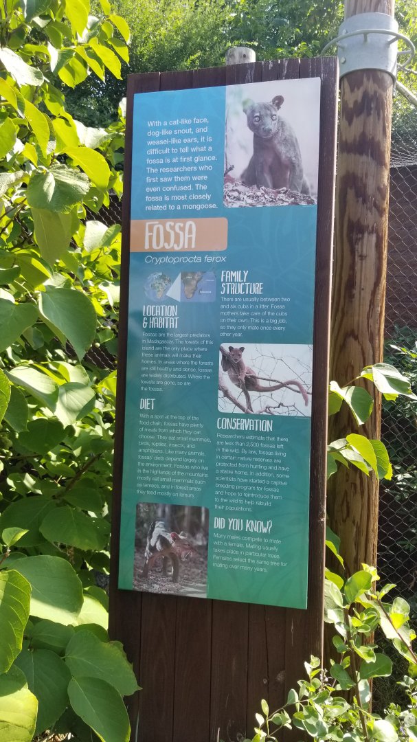 Pittsburgh 8/21 - Fossa sign