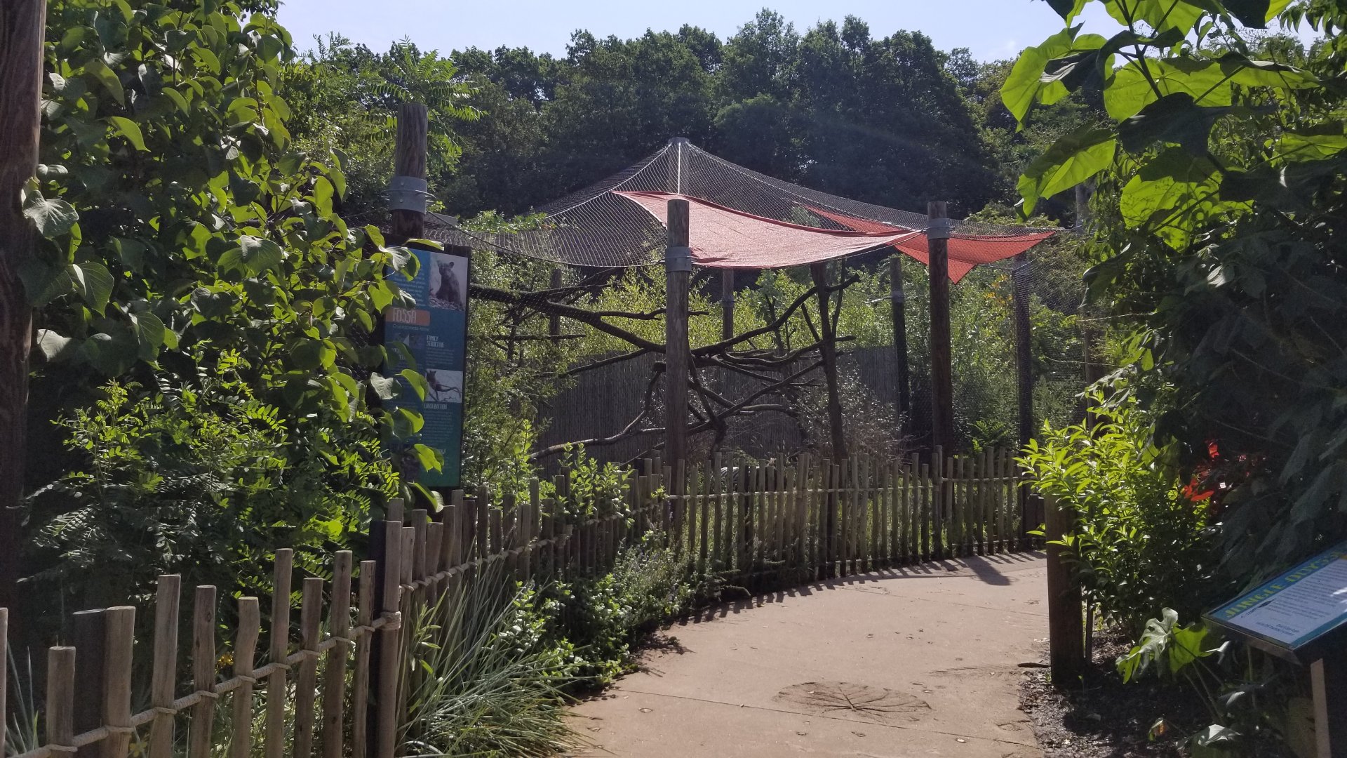 Pittsburgh 8/21 - Fossa