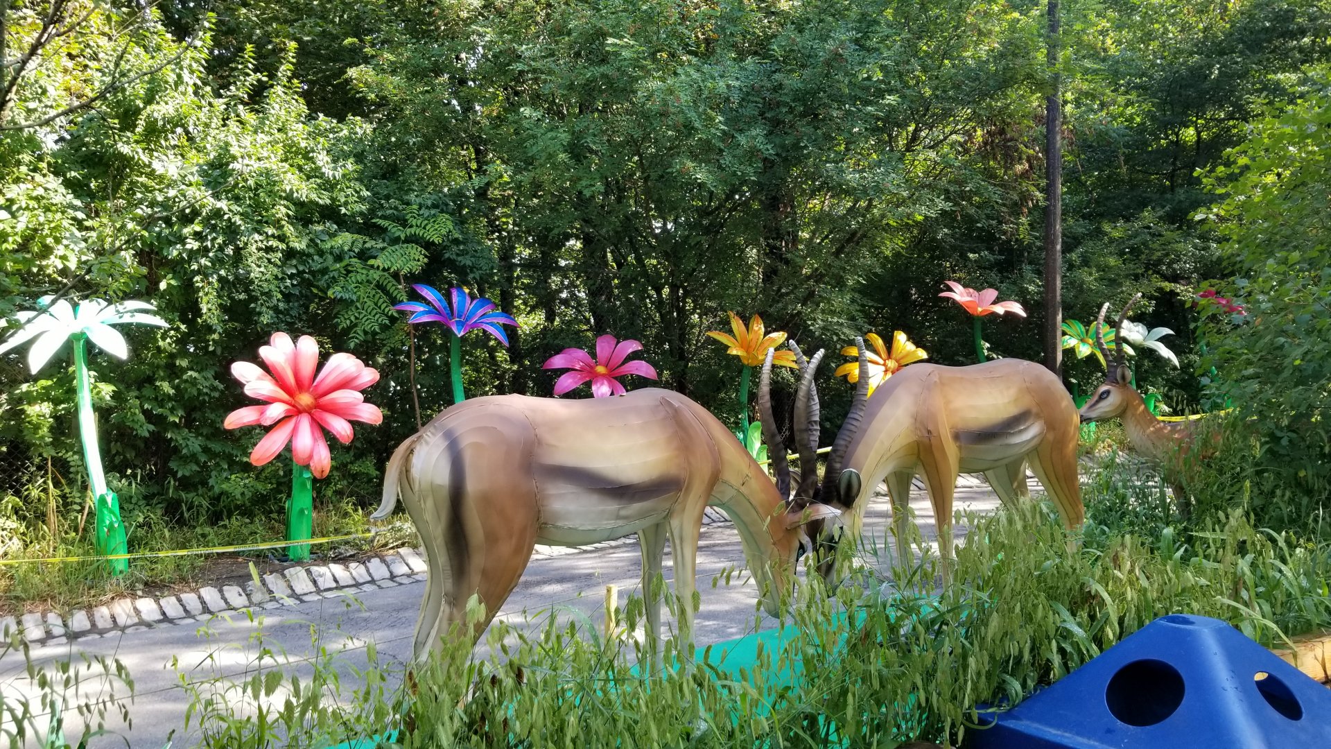 Pittsburgh 8/21 - Gazelles and flowers