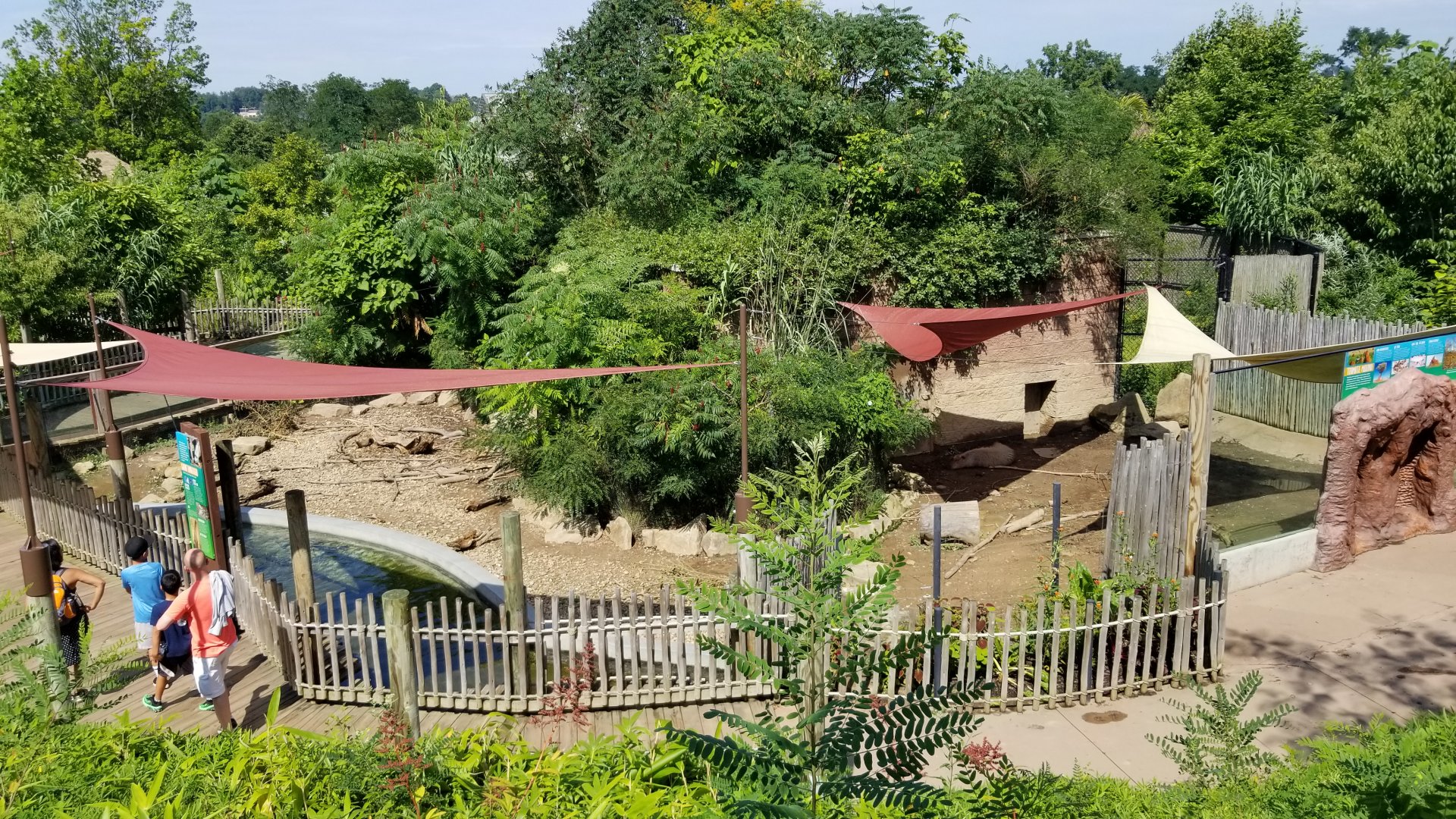 Pittsburgh 8/21 - Giant anteater / capybara from above