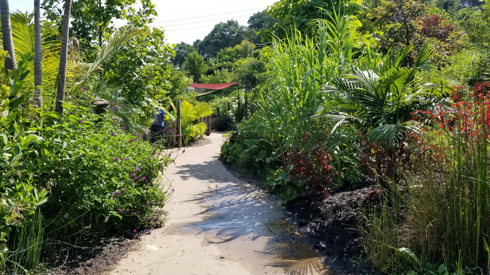 Pittsburgh 8/21 - Jungle odyssey path