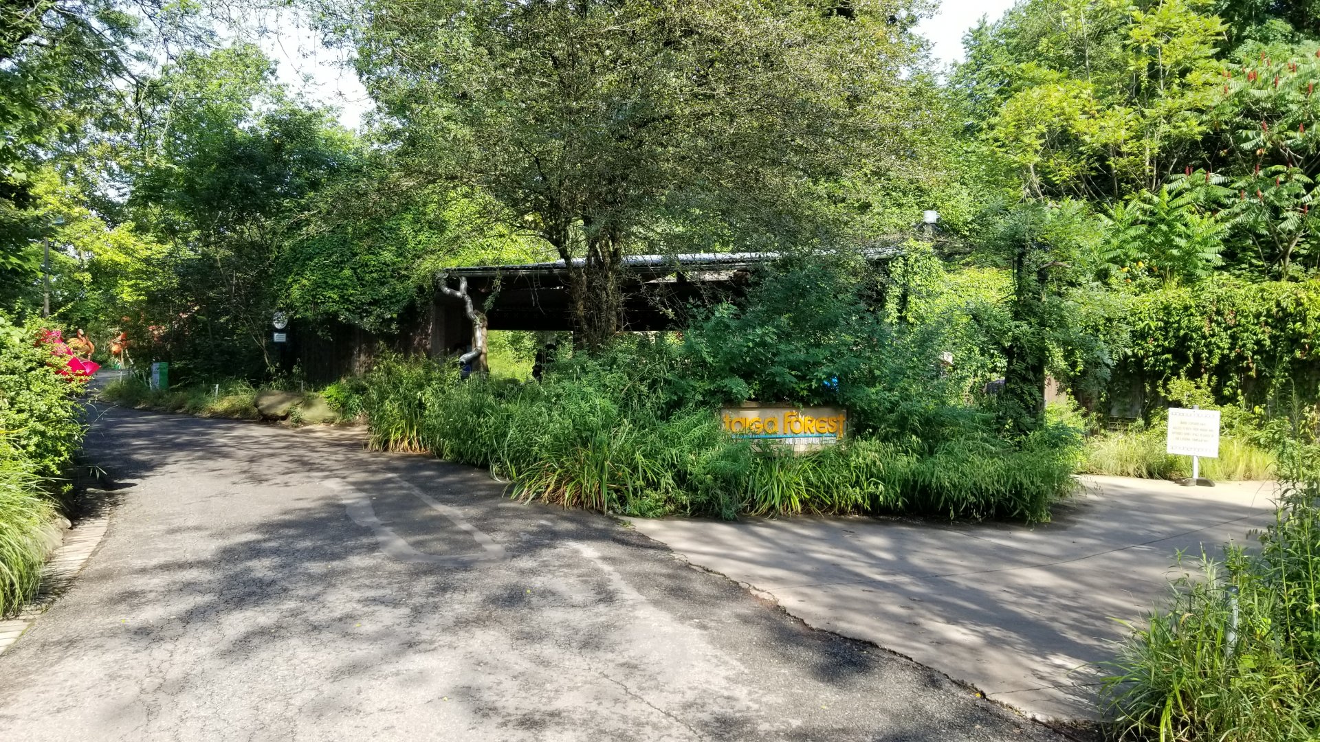 Pittsburgh 8/21 - Leopard