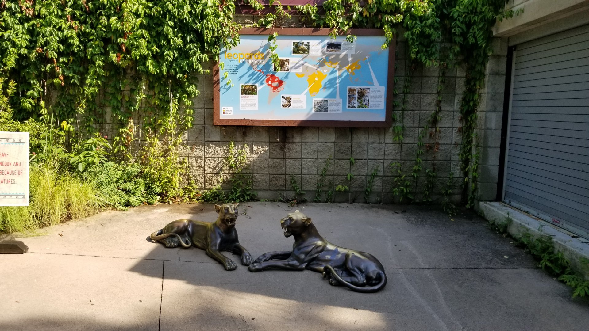 Pittsburgh 8/21 - Leopard