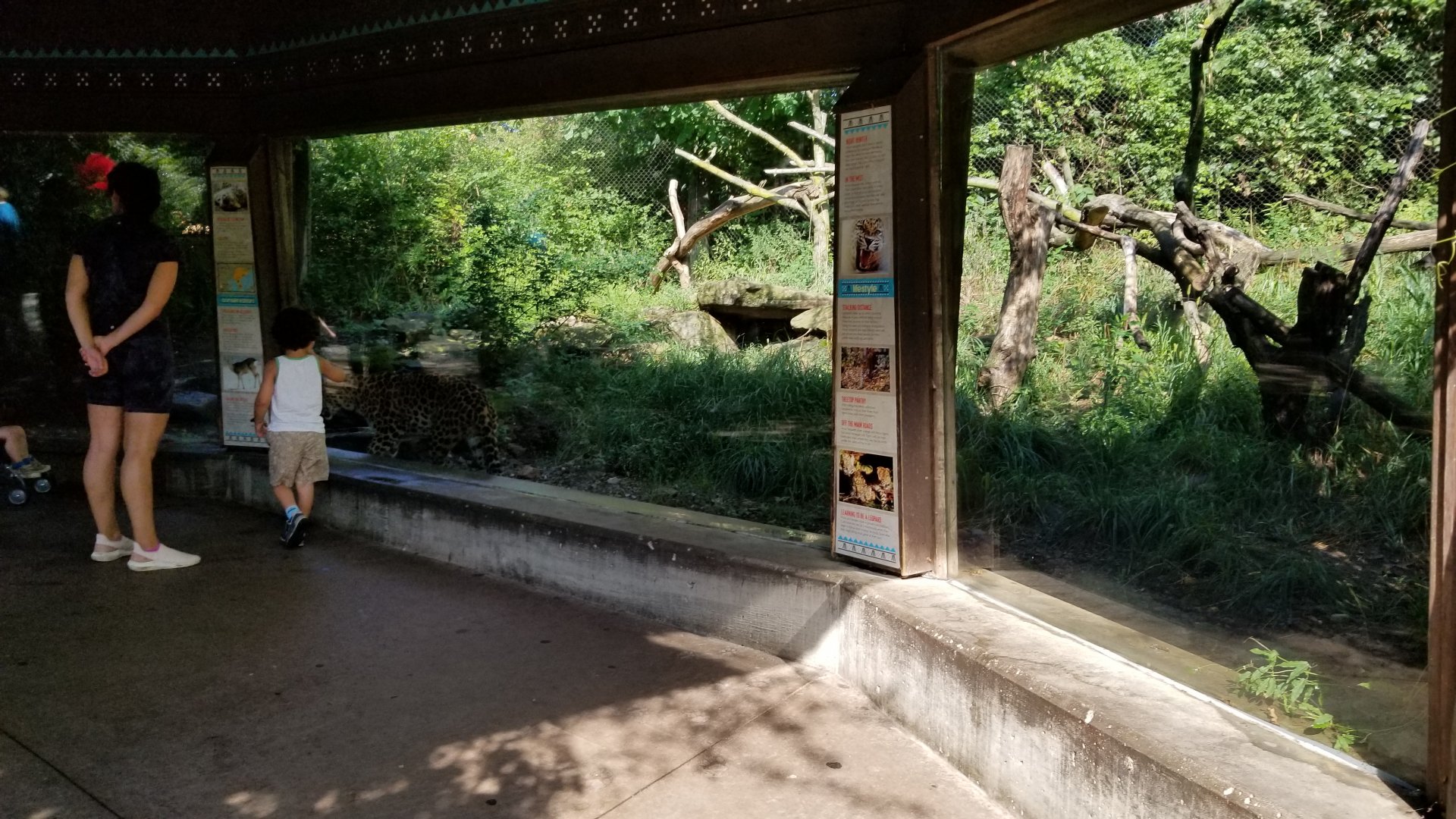 Pittsburgh 8/21 - Leopard