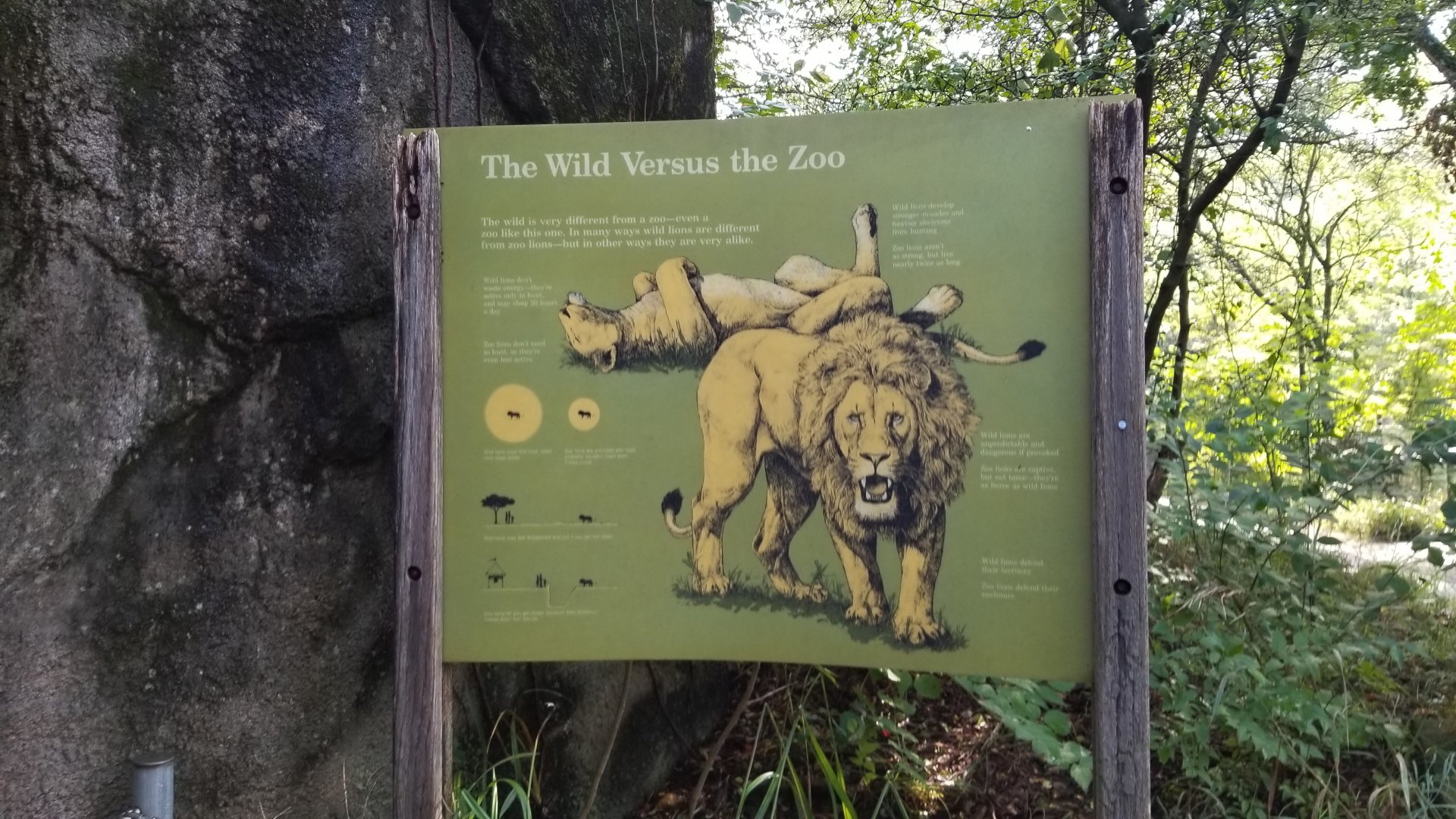 Pittsburgh 8/21 - Lion signage, zoo vs wild