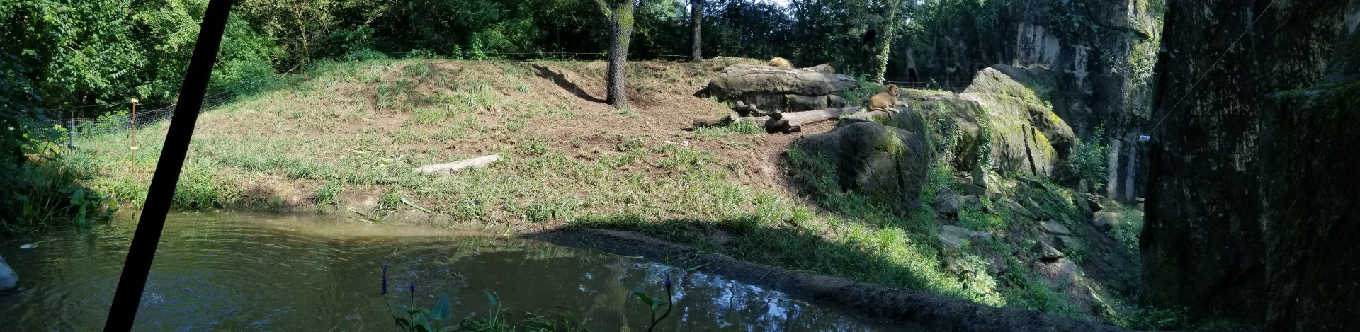 Pittsburgh 8/21 - Lions, panorama of exhibit
