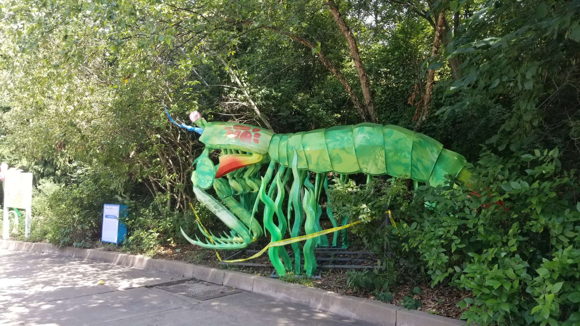 Pittsburgh 8/21 - Mantis shrimp