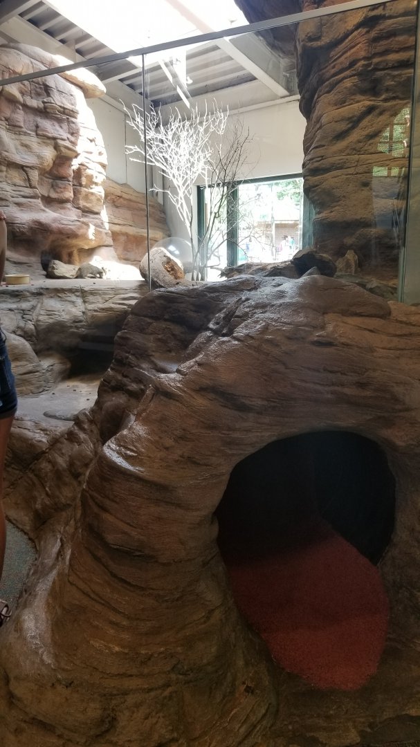 Pittsburgh 8/21 - Meerkats with kids tunnel