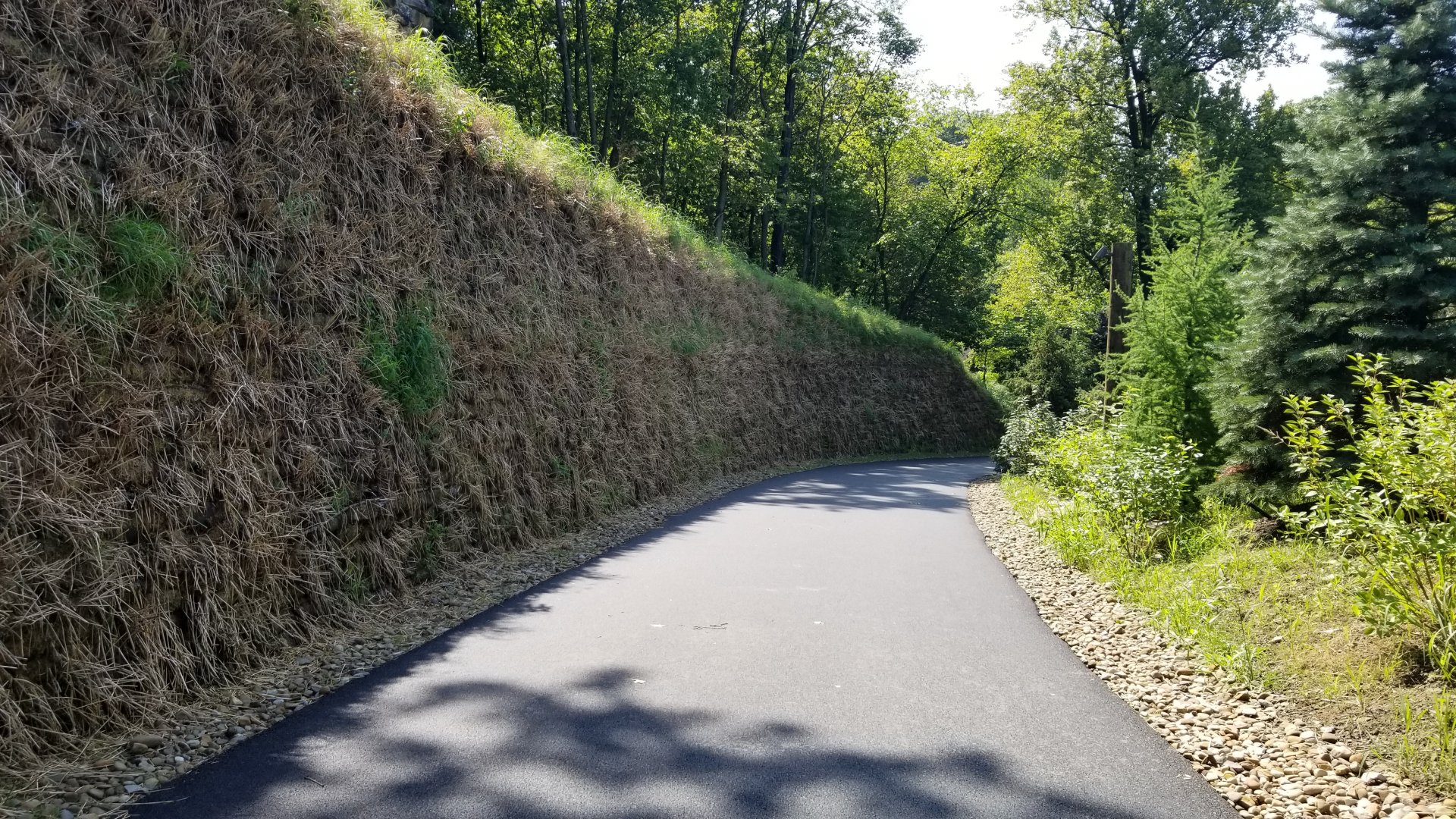 Pittsburgh 8/21 - New path from jungle odyssey to aquarium