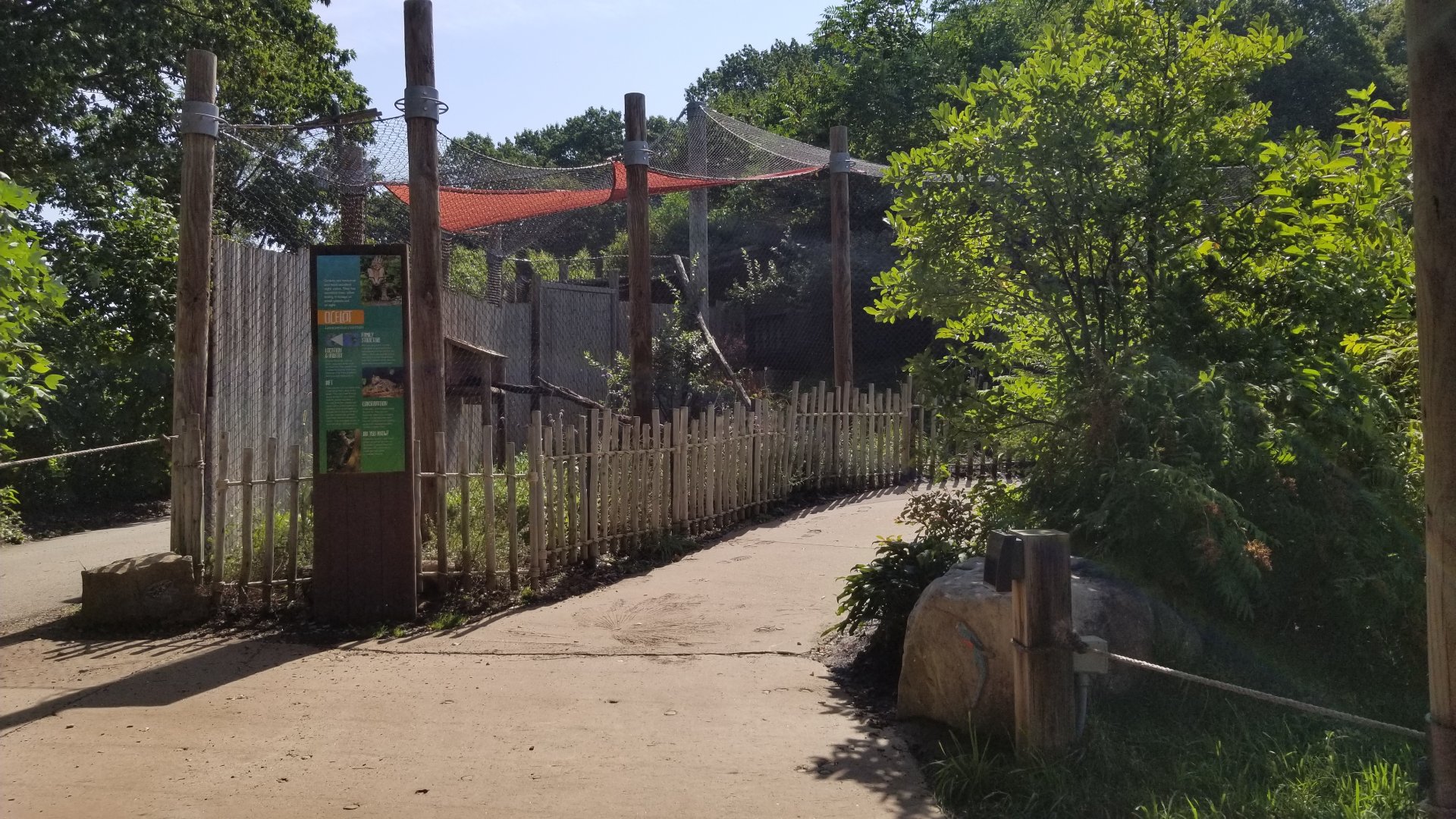 Pittsburgh 8/21 - Ocelot