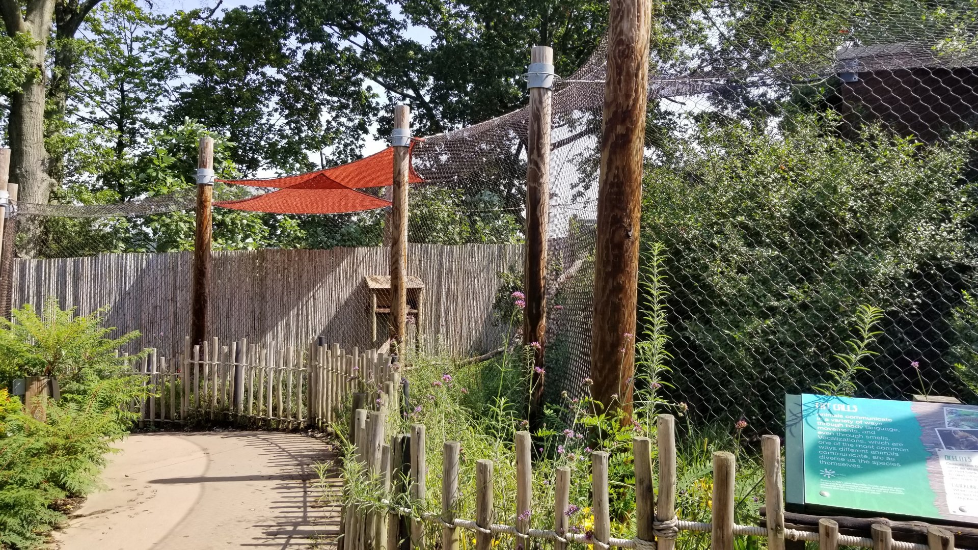 Pittsburgh 8/21 - Ocelot